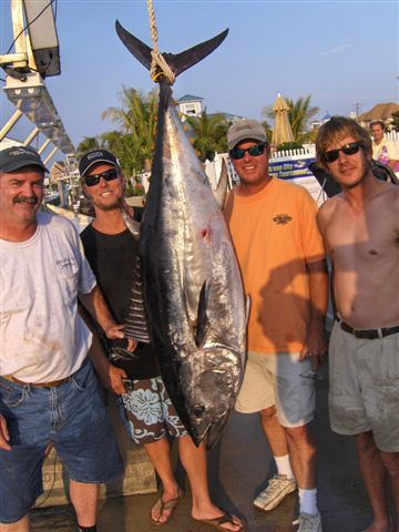 150 lb. tuna