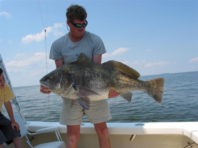 85 lb. Drum